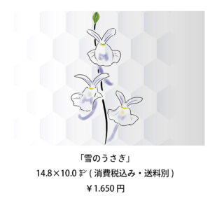 「雪のうさぎ」