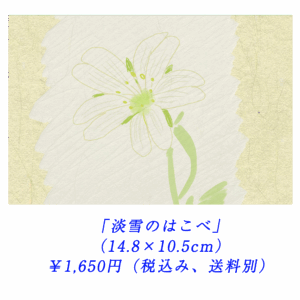 「淡雪のはこべ」