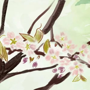 「26・桜」