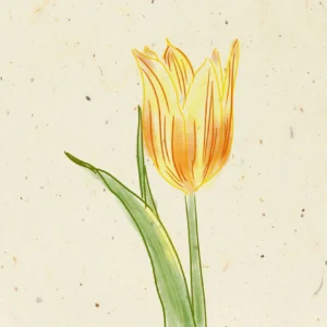 「春の花」